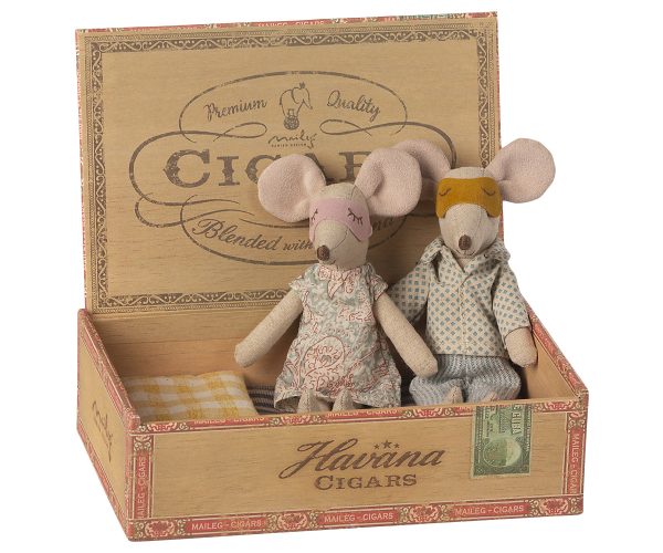 עכבר ועכברה בקופסת סיגרים מהודרת